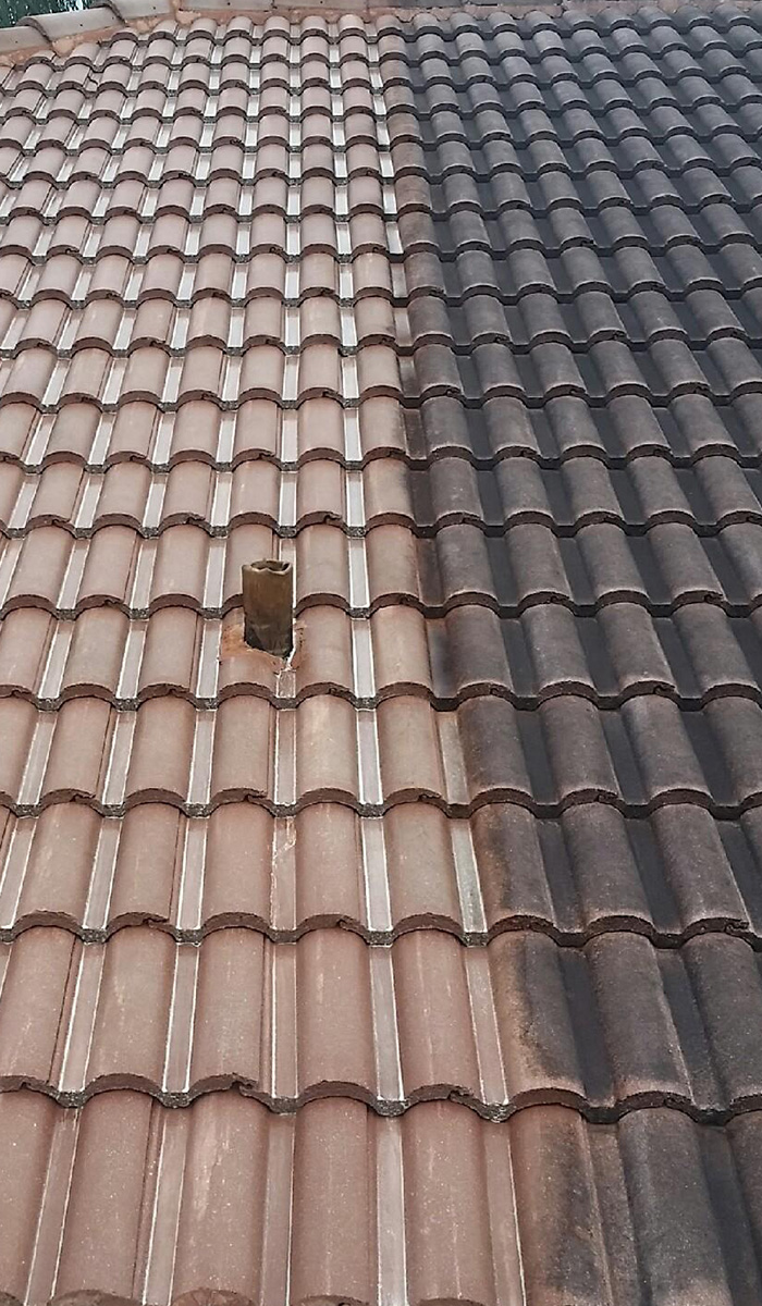 Nettoyage et demoussage de toiture à Saint-Maur-des-Fossés (94100) dans le Val de Marne (94)