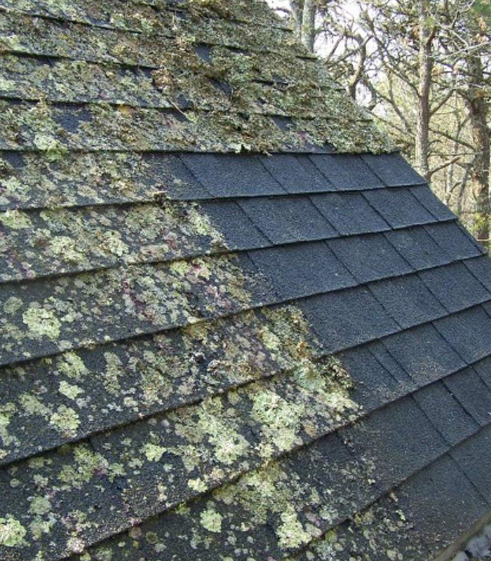 Nettoyage de couverture en tuiles, ardoises et zinc à Saint-Maur-des-Fossés (94100) dans le Val de Marne (94)